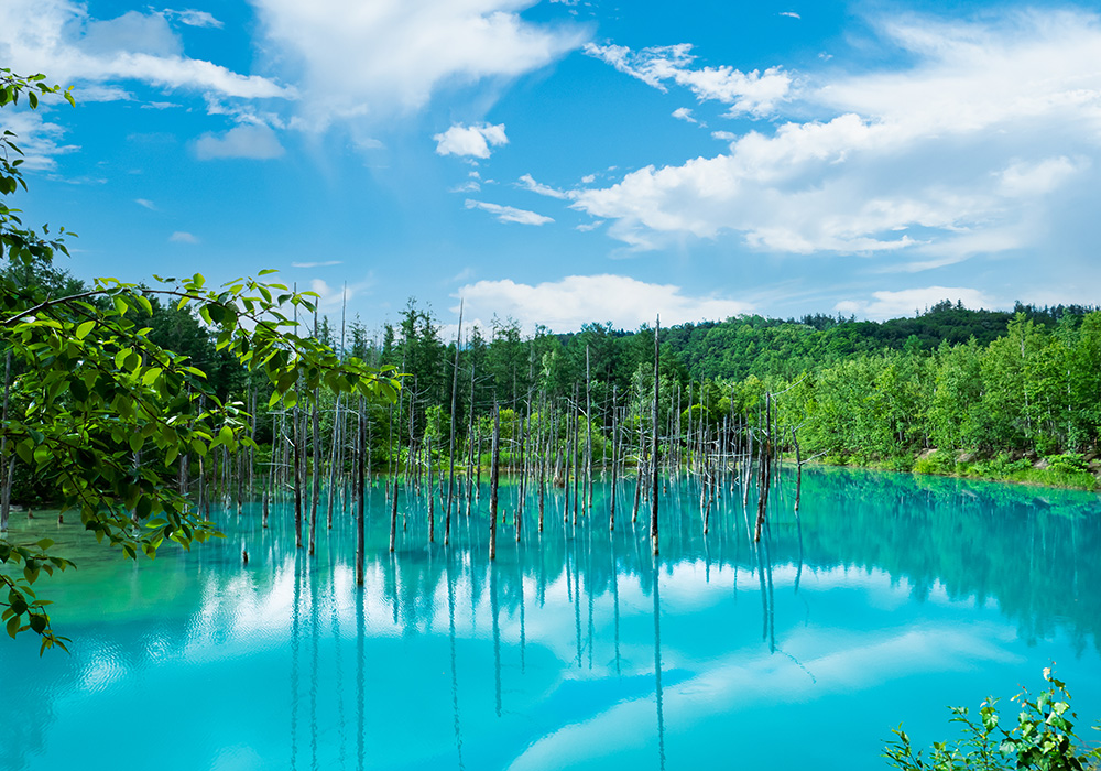 青い池
