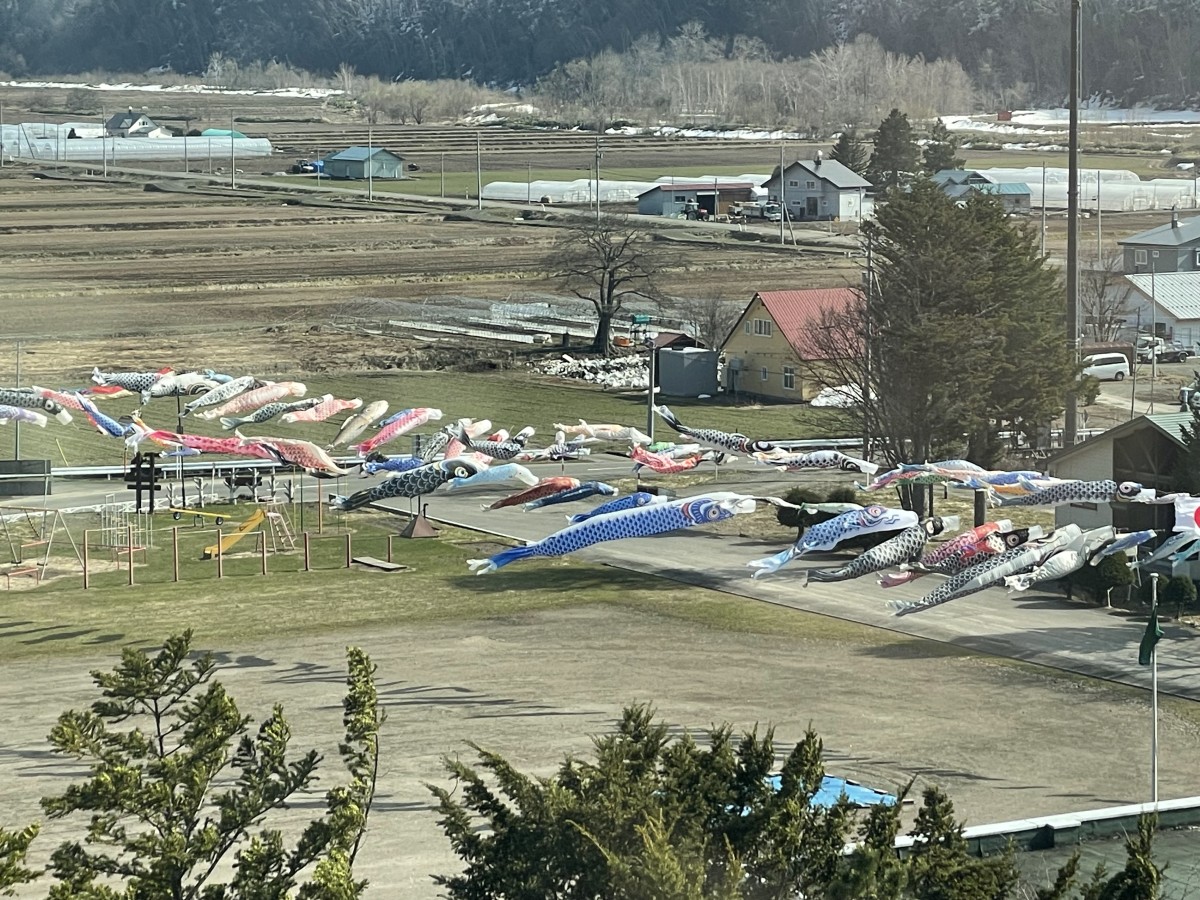 明徳小学校のこいのぼり